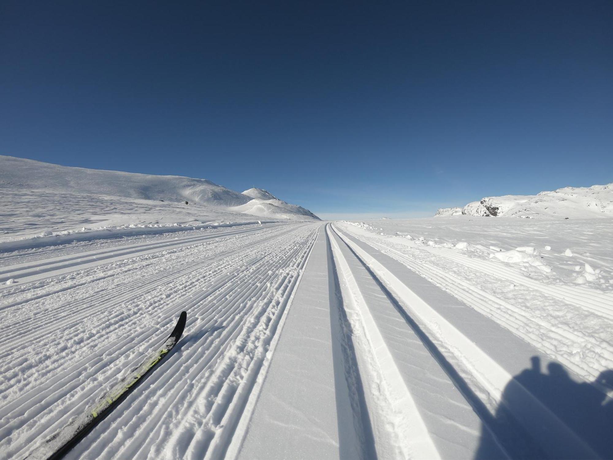 Gausta Lodge Med 6 Sengeplasser I Naerhet Til Gaustatoppen Gaustablikk 외부 사진
